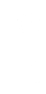 undp